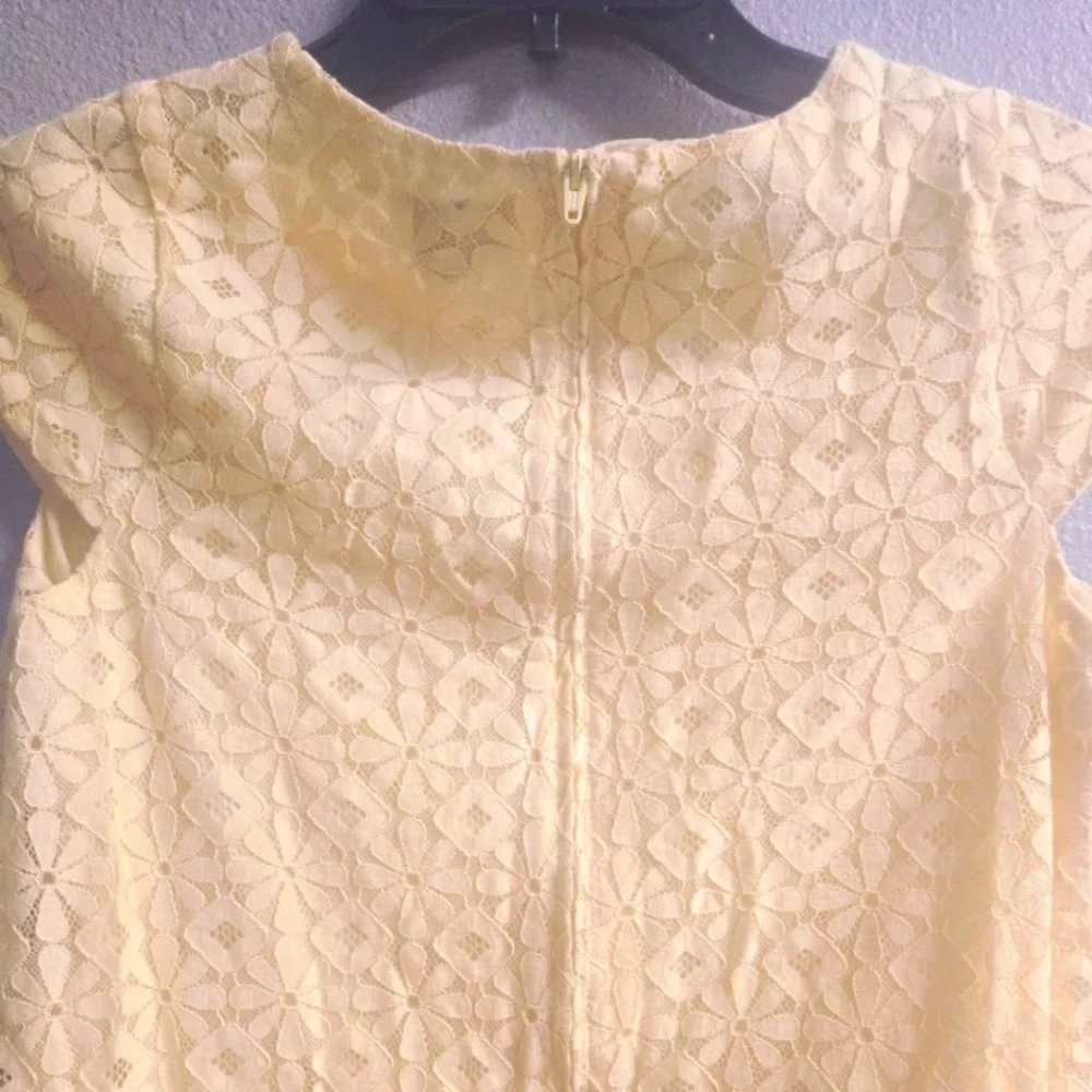 Place Lace Overlay Dress - Picture 8 of 10